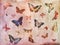 Vintage butterfly background collage