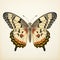 Vintage Butterfly Illustration On Dramatic Gothic Background