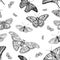 Vintage butterfly vector hand drawn seamless background