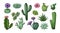 Vintage cactus drawing. Desert floral clipart engraving artwork. Nature plant with thorns and blossom. Spiky flora