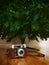 Vintage camera under bare artificial christmas tree