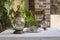 Vintage candle lamps and vase with succulents on table covered by tablecloth in the patio