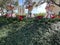 Vintage Candy Cane Sisters Decorations on Display inside Hollywood Studios in Orlando