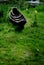 Vintage canoe boat on green grass in the park