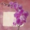 Vintage card with pink orchid