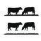 Vintage Cattle / Beef logo design inspiration vector