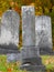 Vintage Cemetery gravestones during Autumn season in NYS