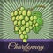 Vintage Chardonnay Grape poster design.