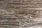 Vintage Charm: Retro Gray Wooden Grunge Plank