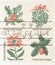 Vintage Christmas Plants Stamp