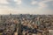 Vintage Cityscape of Tokyo skyline. Landmark of Japan