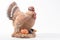 Vintage clay turkey against a white background. Seasonal display for Thanksgiving and Halloween