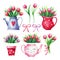 Vintage collection of watercolor bouquet of tulips