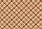 vintage color shameless plaid pattern