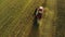 Vintage combine harvester cuts wheat in a field for the food industry and agribusiness agriculture