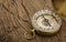 Vintage compass, navigational compass on wooden background