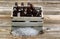 Vintage crate with ice cold bottle beer on rustic wooden boards