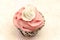 Vintage cupcake