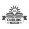 Vintage curling labels and design elements