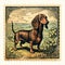 Vintage Dachshund Postage Stamp Mid-century Illustration With A Whimsical Twist