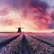 Vintage Dawn over Field of Tulip and Windmill