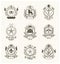 Vintage decorative emblems compositions, heraldic vectors. Classy high quality symbolic illustrations collection.