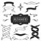 Vintage decorative ribbon banners collection. Hand drawn vector