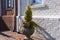 A vintage decorative stone standalone pot in the shape of a vase or pumpkin with a vine plant and a small shrub in it.