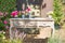 Vintage desk with flower pots