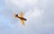 Vintage DHC-1 Chipmunk G-BNZC/RCAF 671 Aircraft in flight  t Ski  race competitor cornering at speed creating at lot of spray.