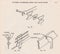 Vintage diagram of miniature locomotive construction