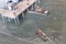 Vintage dock scene dory landing