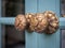 Vintage door knobs on wooden door