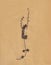 Vintage dried foliage flower on paper dated 1896