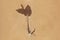 Vintage dried foliage flower on paper dated 1896