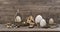 Vintage Easter decoration eggs nest birdcage Nostalgic still life