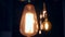Vintage Edison Lamp Lighting Decoration in Loft Style. Old light bulbs Hanging on Ceiling in Restaurant. Light in the