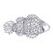 Vintage elegant ornament fish monochrome illustration