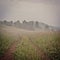 Vintage faded image of a country mountain road in misty morning before sunrise