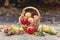 Vintage fall basket full of apples and pears on nature background