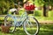 Vintage fancy bike blooming garden background. Rent bike to explore city. Nature cycling tour. Retro bicycle with picnic