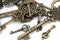 vintage fantasy detailed golden keys