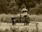 Vintage Farm Equipment with flowers Sepia