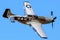 Vintage Fighter (P-51D Mustang) Flying A Low Pass