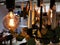 Vintage filament light bulb and candles