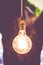 Vintage filter : Vintage lightbulb hanging on tree