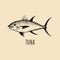 Vintage fish illustration in engraving style. Vector hand sketched tuna for logotype, label etc