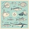 Vintage fish illustration set
