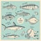 Vintage fish illustration set