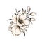 Vintage floral bouquet sketch, springtime floral blossom composition, ink drawing of beautiful botanic illustration